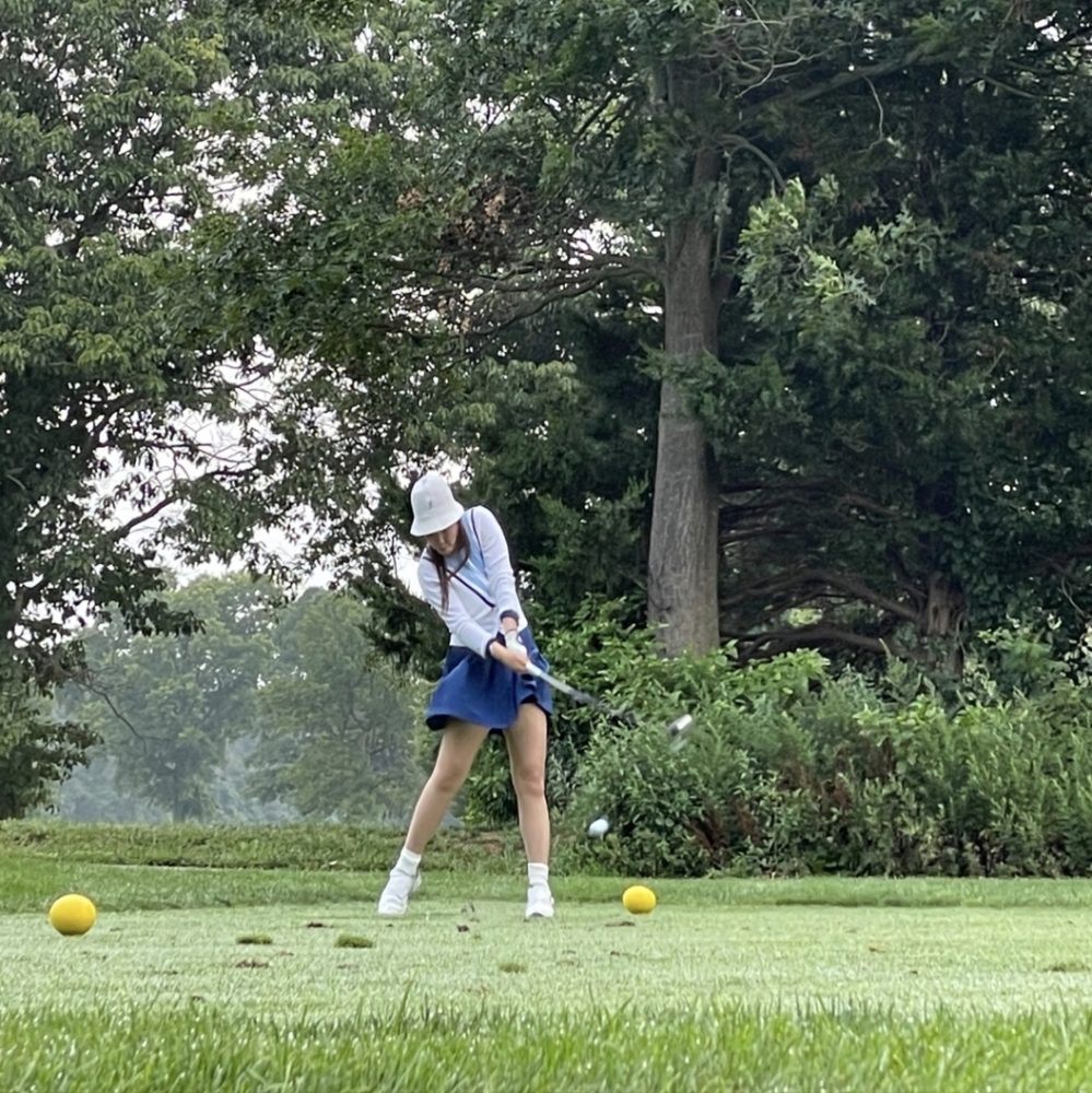 J.lindburg pleated golf skirts.💙